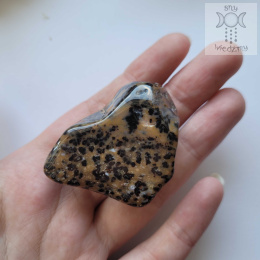 Agat Cheetah geparda polerowana bryłka