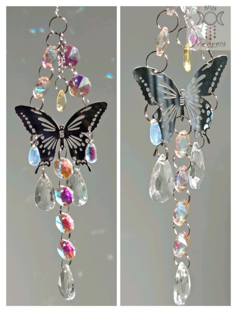 Motylia Łapacz Słońca pomarańczowo niebieski kryształki zajączki świetlne Aurora motyl ćma moth