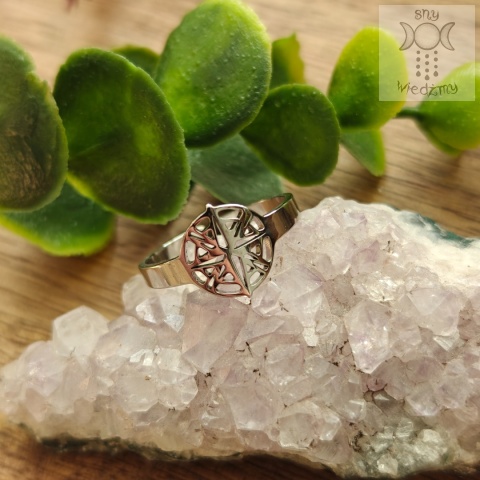 Pierścionek Gwiazda Polarna północy stal regulowany