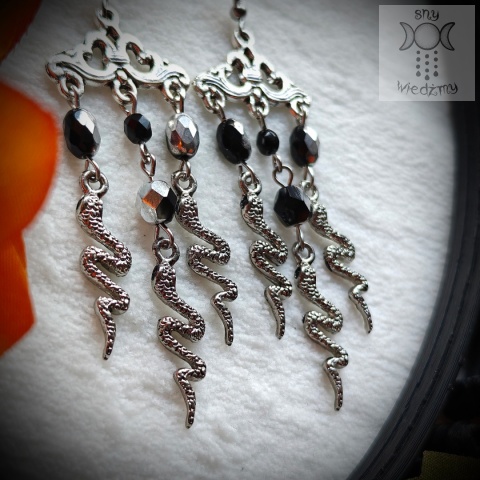 Kolczyki Silver Snakes węże kryształki